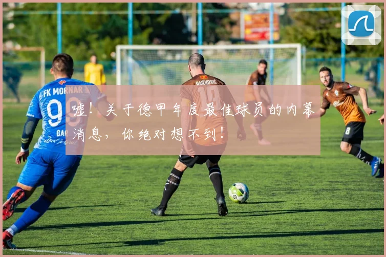 嘘！关于德甲年度最佳球员的内幕消息，你绝对想不到！